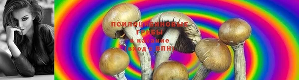 MDMA Premium VHQ Белокуриха