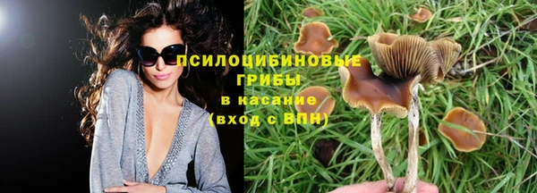 первитин Белоозёрский